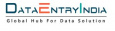 Data Entry India Company logo