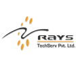 Rays Techserv Private Limited logo