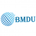 BM Digital Utilization logo