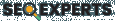 SEO Experts Pk logo