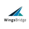 WingsBridge Digital Agency logo