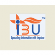 IBU CONSULTING LTD. logo