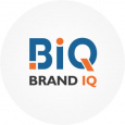 BrandiQ logo