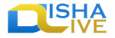 DishaLive Web Design and Solutions logo